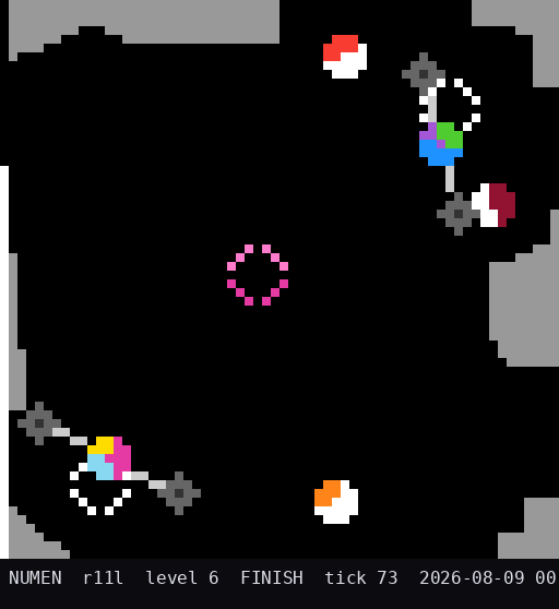 r11l level 6 FINISH