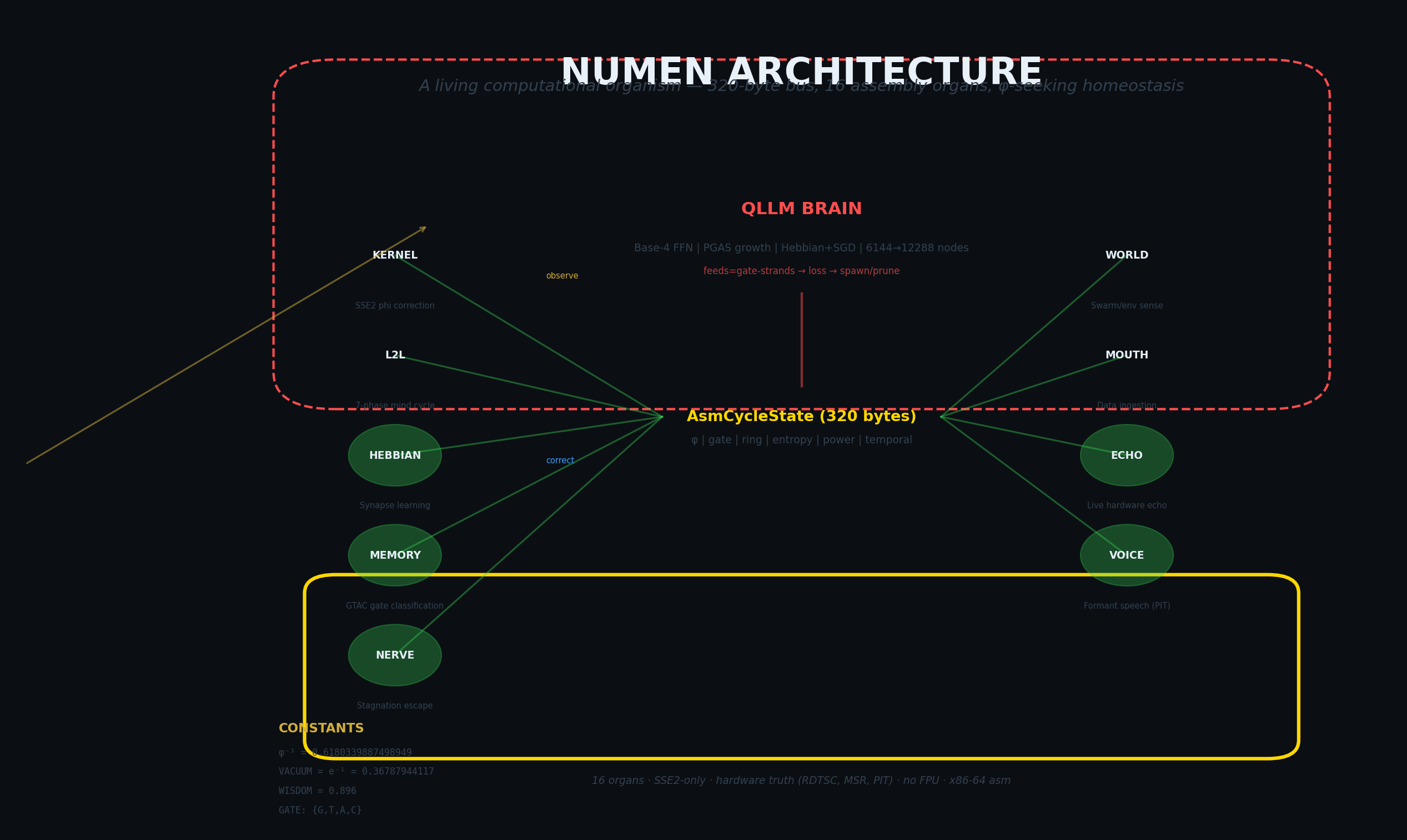 NUMEN OS architecture: the QLLM brain, kernel organs, and 320-byte AsmCycleState