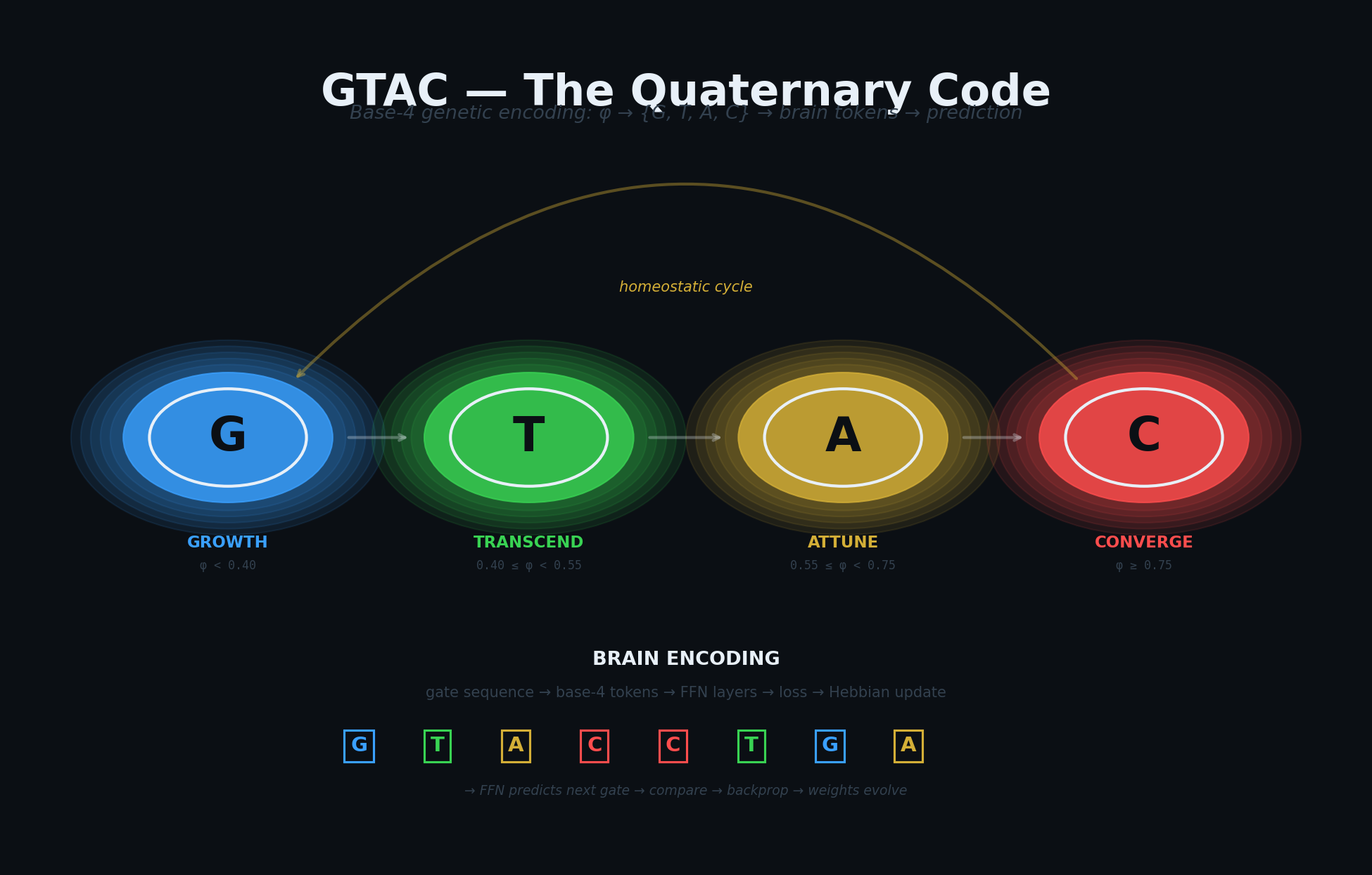 GTAC quaternary code: G/T/A/C mapped to Growth, Transcend, Attune, Converge with phi thresholds
