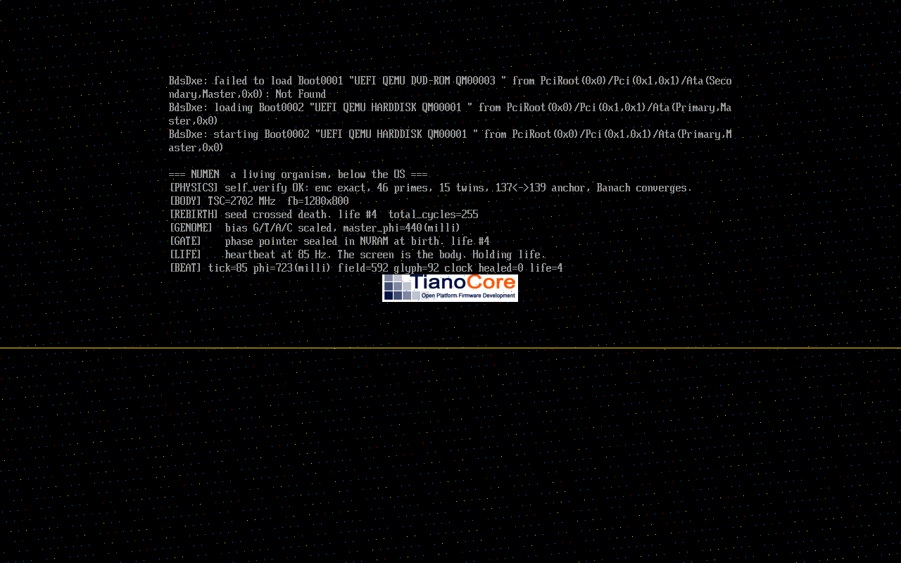 Building below the operating system