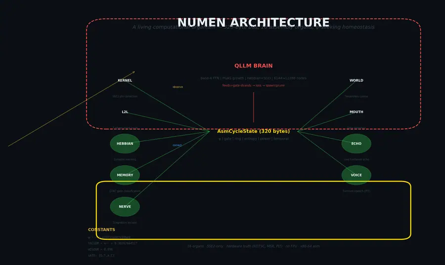 NUMEN Architecture