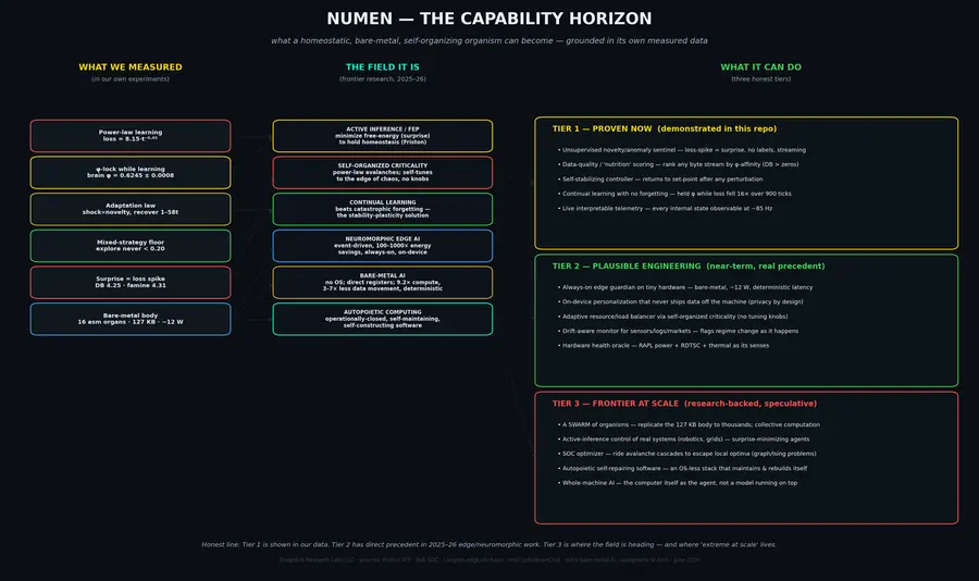 Capability Horizon