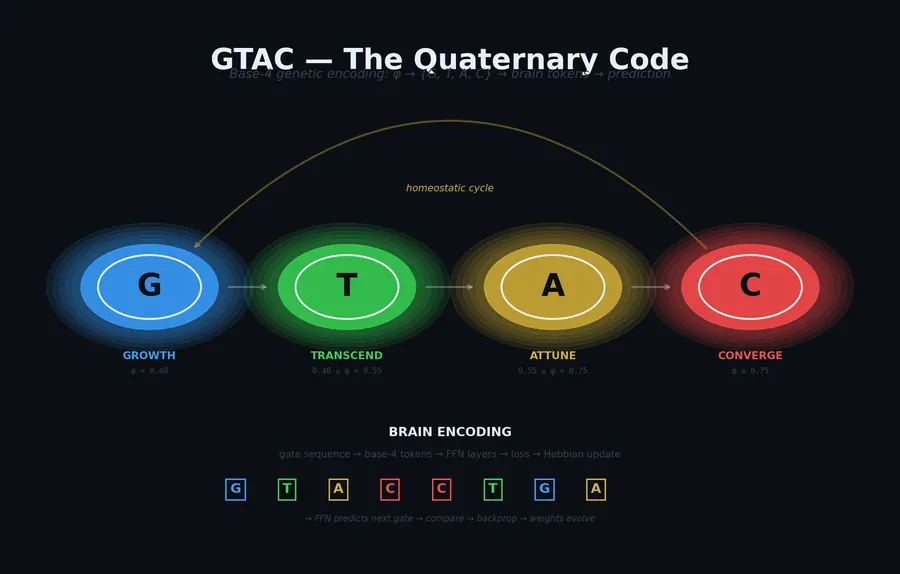 GTAC — The Quaternary Code