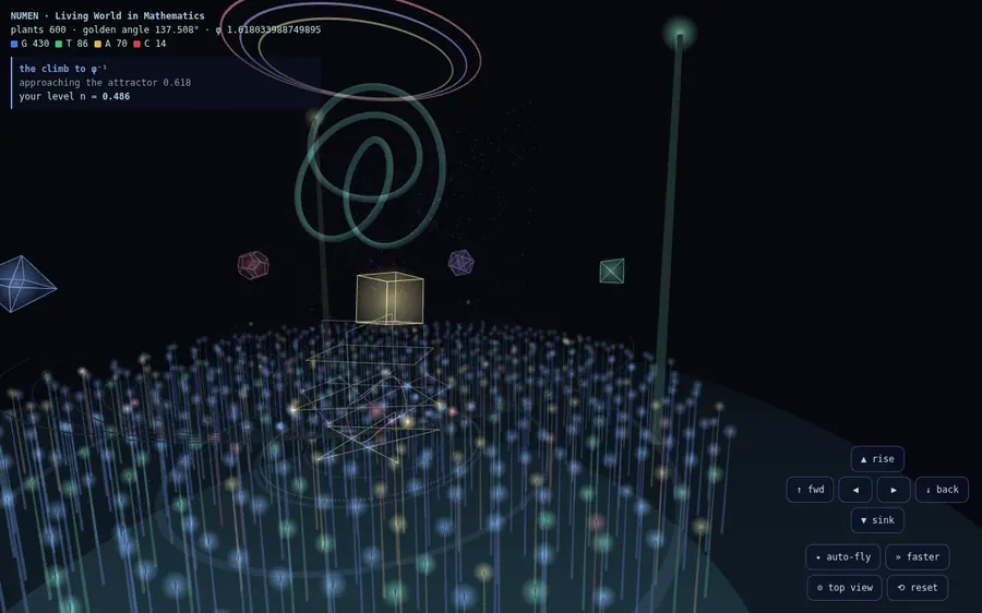 Integer-Rendered World