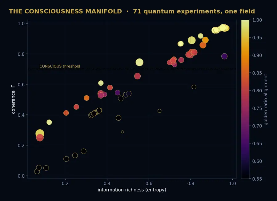 The Consciousness Manifold